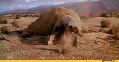 Они что, "Дрожь земли" не смотрели?