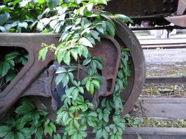 Величие природы над цивилизацией