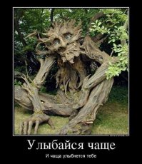 25 по-настоящему необычных деревьев