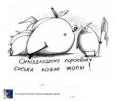 Смешные комментарии из социальных сетей