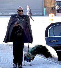 А кто из них тут выгуливает?