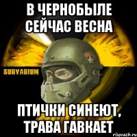 Порождение урагана: на техасском пляже нашли загадочного монстра