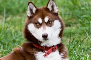 Красноярск и Ханты-Мансийск красавы