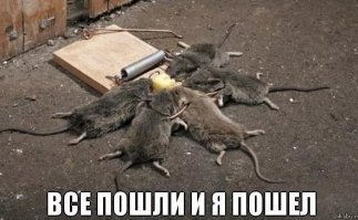 Страсти парковочные