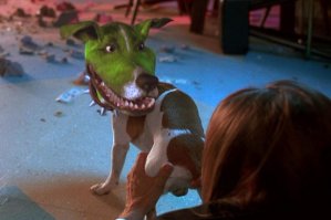 25 раз, когда домашние животные приносили своим владельцам самые неожиданные подарки