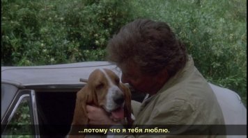 Питер Майкл Фальк