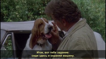 Питер Майкл Фальк