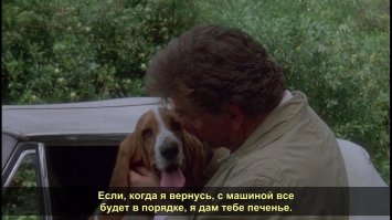 Питер Майкл Фальк