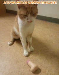 25 раз, когда домашние животные приносили своим владельцам самые неожиданные подарки