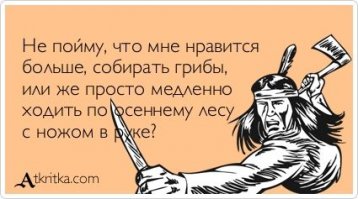 Недели опят в подмосковье