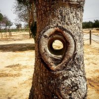 А где же шутки про бывших!?