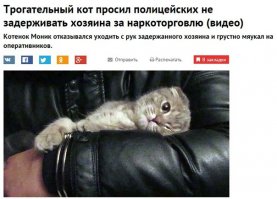 Спустя некоторое время....