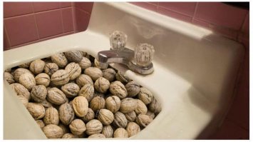 Смешные комментарии и высказывания из социальных сетей