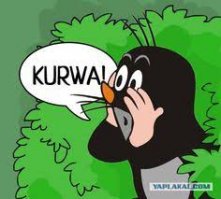 Смешные картинки с надписям