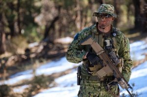 Так это же морской котик)))) А я раньше думал, что они выглядят как-то так.