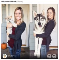 Кажись кто-то тыкву упер...