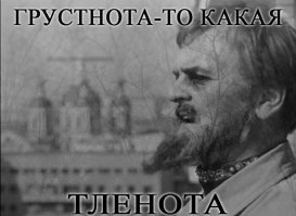 Смешные картинки и комментарии