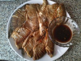 Да)). Только вот <span style='color:gray'>[мат]</span> варю из голов семги, так что смысл кидать ее фотки нет. А вот рыбка - да! Люблю и рыбачить, и рыбку потом трескать, кошачья моя душа). За качество сорри, нет фотика, да и рыбка моя помельче, но пофиг, все равно вкусно))