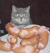 Смешные комментарии и высказывания из социальных сетей