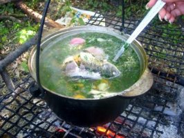 Всё это дело вкуса конечно,но для меня рыба номер один речная(озёрная)этот запах,сладость не с чем не спутаешь! Сушёная,жареная,а уха,этот аромат...ммм....