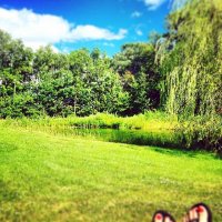 Народ, а у кого какой вид из окна прямо сейчас