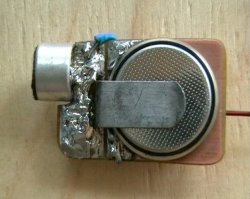 "Златоуст" в американском посольстве. Шедевры русского шпионажа