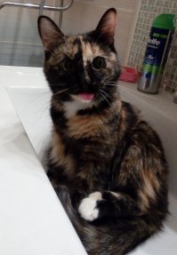 Год назад и сейчас