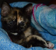 Год назад и сейчас