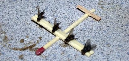 Для вас только такие.