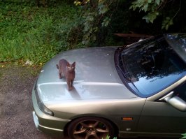 Народ, а у кого какой вид из окна прямо сейчас