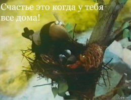 Смешные картинки с надписям