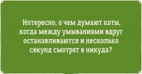 -А что это я сейчас лизнул?