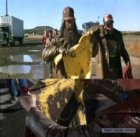 Все неправда! Вот как было!