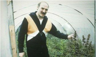 картошка это прикрытие