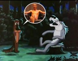 Волки умнее собак: новое исследование