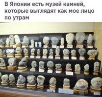 А моё целый день так выглядит.