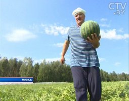 Какой там картофан... Батька уже арбузы выращивает!