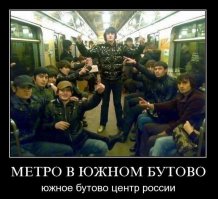 Вовины любимчика...Творят,что хотят,зверьё жуткое...