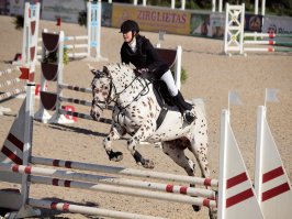 Буквально вчера видел