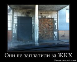 Свежая подборка демотиваторов, которые поднимут вам настроение