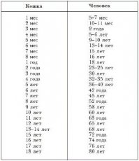 Котик, к счастью, не знал, что можно было жить и сверх норм кошачьей жизни, приведенной в таблице ...