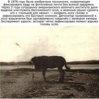 нууу они такие ... 
сидистюги .......