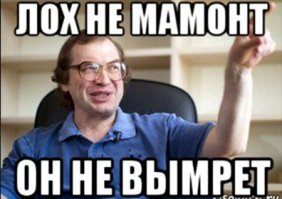 Потому что: