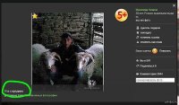 напомнила картинка два осла