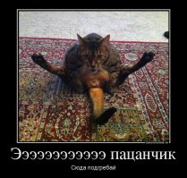 Невыносимая чёткость бытия пропитала эту гоп-подборку