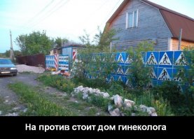 Комментарии из сети