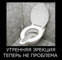 23 фотографии из серии "Что тут происходит?"