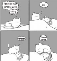 Обязанности кота