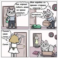 Обязанности кота