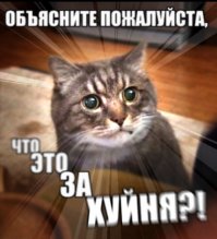 Голосексуалы распространяются по миру. И это не то, что вы подумали